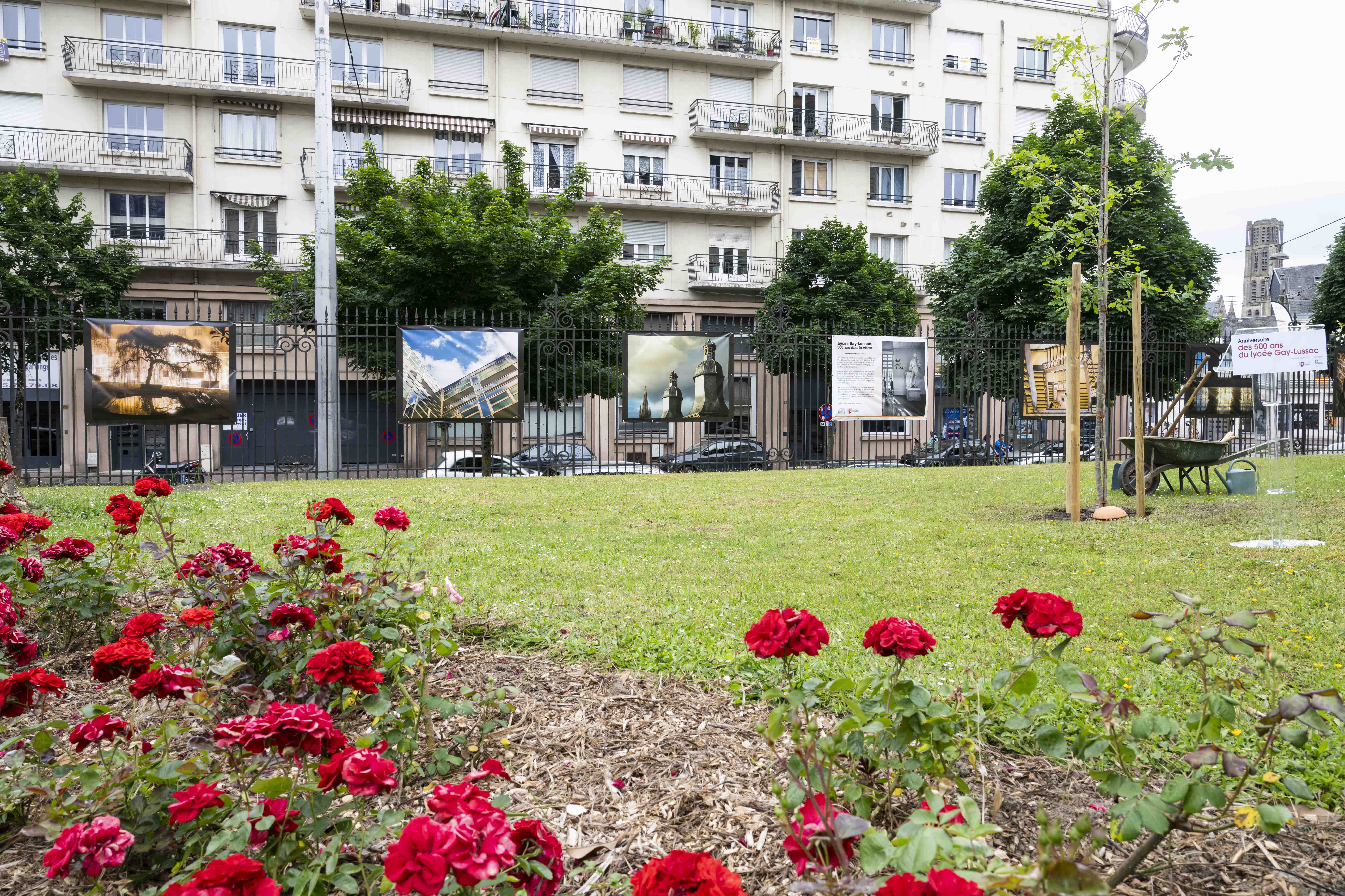Un arbre pour la postérité